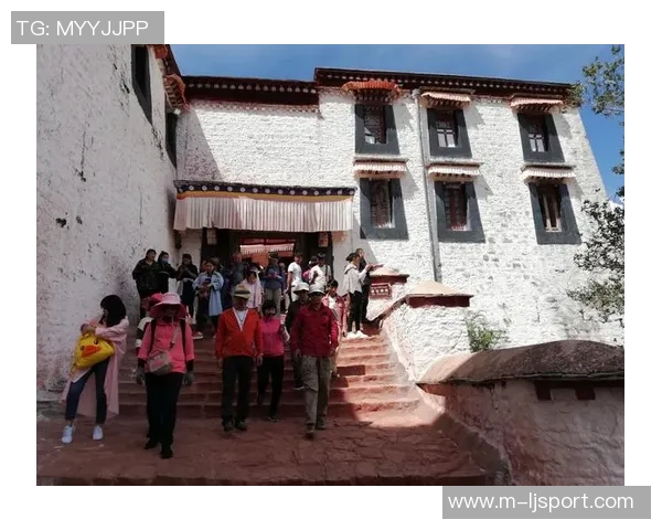 水瓶座足球的独特魅力与团队精神探索之旅