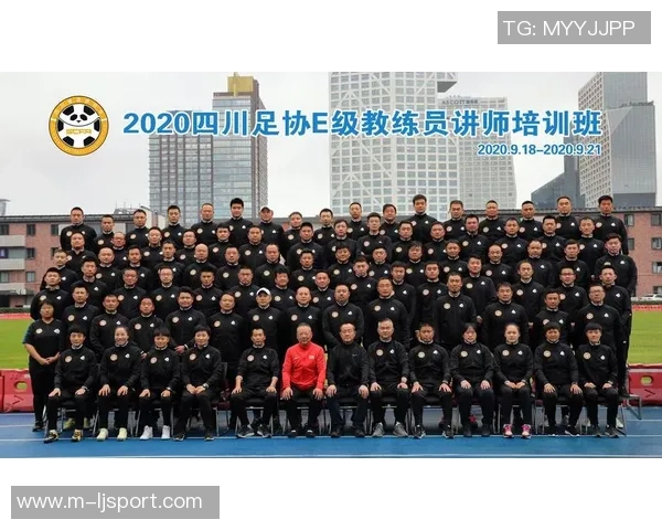 足球协会组织机构的构成与职能分析及其对足球发展的影响